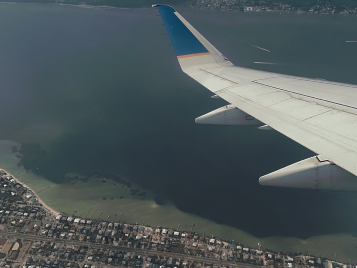 THAT TIME I FORGOT ABOUT&nbsp;YOU